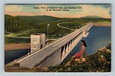 Scenic View Norfork Dam & Lake, Ozarks, Arkansas Vintage Postcard picture