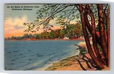 Coldwater MI-Michigan, Along Shores of Coldwater Lake, Souvenir Vintage Postcard picture