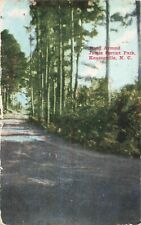 Road Around James Sprunt Park Kenansville North Carolina NC c1910 Postcard picture
