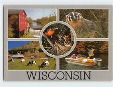 Postcard Places & Animal in Wisconsin USA picture