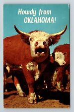 Howdy From Oklahoma Hereford  Vintage Souvenir Postcard picture