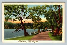 Chelsea MI- Michigan, Scenic Greetings, Path View, Vintage Postcard picture