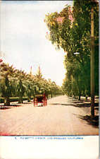 Vintage 1907 Horse & Buggy, Palmetto Ave. Los Angeles California CA Postcard picture