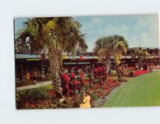 Postcard Gift Shops Silver Springs Florida USA picture