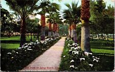 Park Long Beach California CA Road Thousand Wonders Antique Postcard UNP DB picture