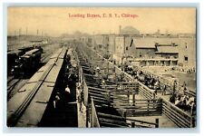 c1910's View Of Loading Horses U.S.Y. Chicago Illinois IL Unposted Postcard picture
