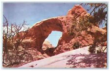 1957 South Windows Arches National Museum Grand Canyon Arizona AZ Trees Postcard picture