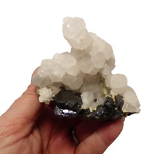 Lustrous Sphalerite Boulangerite Calcite Trepca Kosovo Mineral Specimen 8cm picture