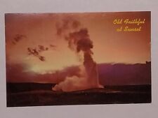 Old Faithful At Sunset Yellowstone Postcard picture