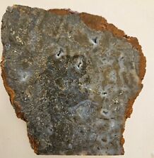 Nipomo Marcasite In Agate large Lapidary Slab 555 Grams picture