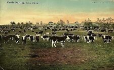 POSTCARD Antique 1912 ADA, Oklahoma CATTLE Raising Black & White COWS picture
