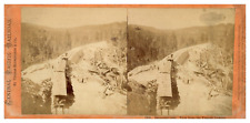 USA, Emigrant Gap, Tunnel View, Central Pacific Railroad, ca.1870, STER picture