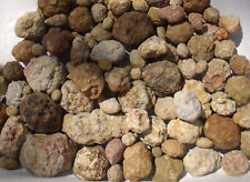 Break Your Own Geodes DIVERSE Bulk Lot 6 LBS Hollow Unopened Rattlers Natural  picture