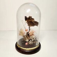 Vintage Butterfly Taxidermy Glass Dome Case picture