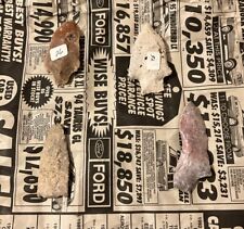 Authentic Prehistoric Indian Artifacts - Native American Floridian - 4 Pieces picture