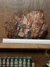 Gorgeous Piece of Rainbow Petrified Wood - New Mexico San Juan Basin  11.2lbs picture