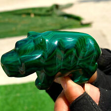164G Natural glossy Malachite Crystal Handcarved hippo mineral sample picture