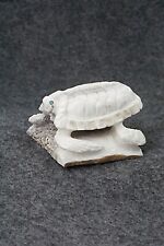 Sea Turtle Zuni Fetish Carving - Chris Peina picture