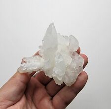 Lustrous sharp Calcite crystals - Santo Domingo Ramp, Santa Eulalia, Mexico picture