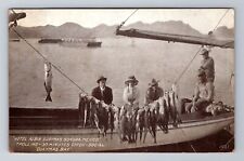 Sonora, Mexico, Hotel Albin Guaymas Bay Fish Catch, Vintage Postcard picture