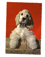 Vintage Dog Postcard    COCKER SPANIEL  CHROME 4X6 HALLMARK UNPOSTED picture