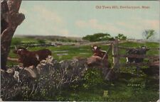 Old Town Hill, Newburyport, Massachusetts Salisbury 1910 Postcard picture