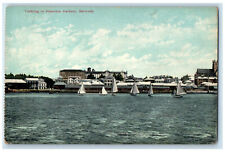 c1910 Yachting in Hamilton Harbour Bermuda Antique Unposted Postcard picture