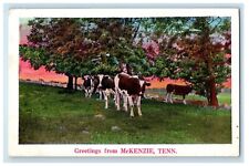 1937 Greetings From McKenzie Tennessee TN, Cows Posted Vintage Postcard picture