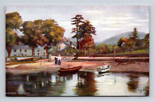 Ambleside Lake Windermere Waterhead Wordsworth's Country Tuck's Oilette Postcard picture