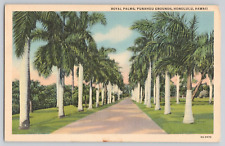 Postcard Royal Palms, Punahou Grounds, Honolulu, Hawaii picture