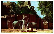 Brookfield IL Illinois Elephants Chicago Zoological Park CK-169 Chrome Postcard picture