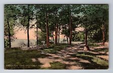 Lakeside OH-Ohio, Through The Woods, Antique, Vintage Souvenir Postcard picture