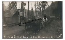 RPPC Peppard's Freight Team Wagon BITTERROOT MOUNTAINS MT ID Real Photo Postcard picture