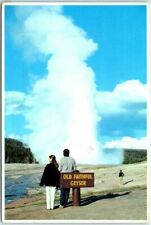 Postcard - Old Faithful Geyser - Yellowstone National Park, Wyoming picture