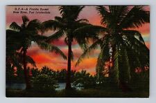 Fort Lauderdale FL-Florida, Florida Sunset, New River, Antique Vintage Postcard picture