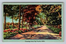 Big Rapids MI-Michigan, Scenic Greetings, Roadway, Antique, Vintage Postcard picture