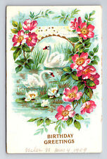 1909 White Swan and Pink Flowers Birthday Greetings Postcard picture