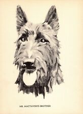 1930s Vintage Scottish Terrier Print Wall Art Decor Philip Duncan Art 5442m picture