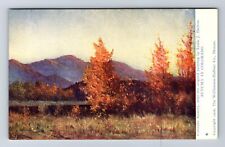 Colorado Scenery From Original Painting Autumn In Colorado Vintage Postcard picture