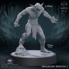 Woldling Wretch 1  | DnD Miniature | TTRPG Miniature picture