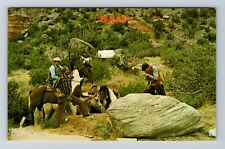 Amarillo TX-Texas, Men And Horses By A Spring, Scenic Nature, Vintage Postcard picture