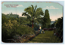 1914 Watering Plants Colonial Hotel Grounds Nassau Bahamas Antique Postcard picture