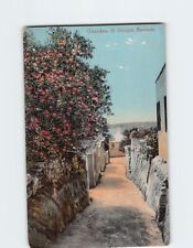 Postcard Oleanders St. Georges Bermuda picture