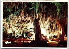 Postcard - Carlsbad Caverns National Park, Carlsbad, New Mexico, USA picture
