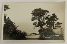 1930s Postcard Point Arena Coast California Ocean Trees White & Black RPPC No 38 picture