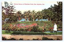 Postcard Winter Scene Westlake Park Los Angeles California O. Newman Co. picture