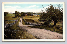 Country Road Poss Arlington Vermont Series 602 Landscapes Postcard Horse Buggy picture