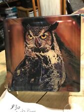 port allegany pa serenity glass park 2015 owl edition block vase bank insert picture