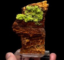 156g TOP Natural Pyromorphite Crystal Cluster collection Mineral Specimen China picture