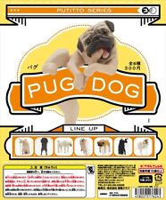 Kitan Club PUTITTO Series Pug Dog パグ Completed Set 8pcs picture